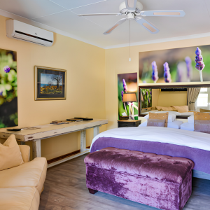 Lavender Suite